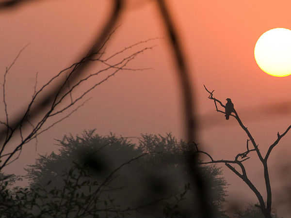 केवला राष्ट्रीय उद्यान