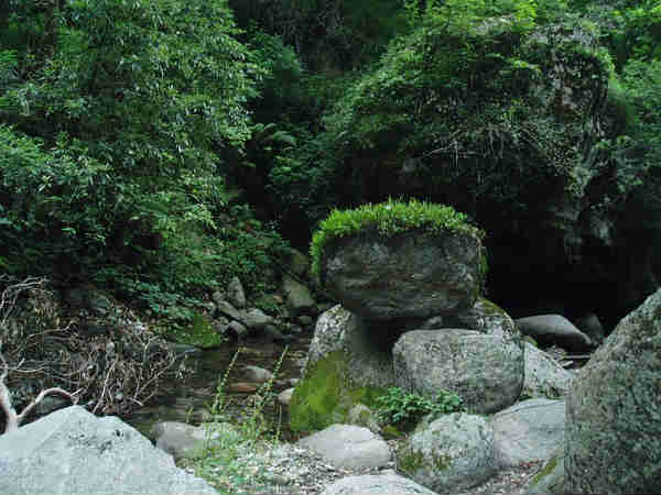 ग्रेट हिमालयन राष्ट्रीय उद्यान