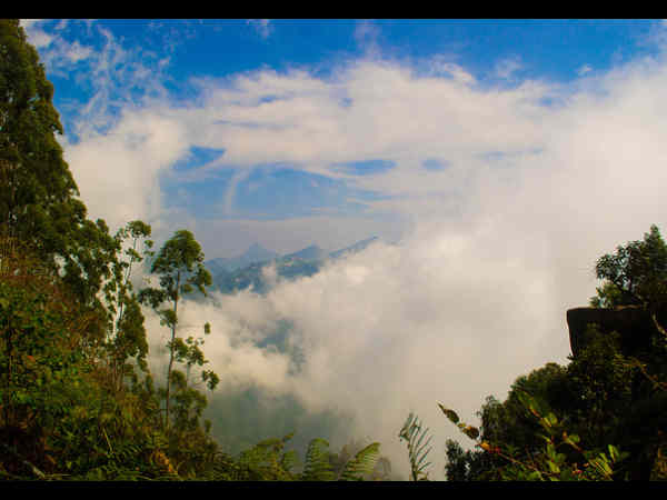 शेनबागुनर