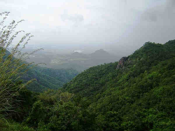 रेल मार्ग द्वारा