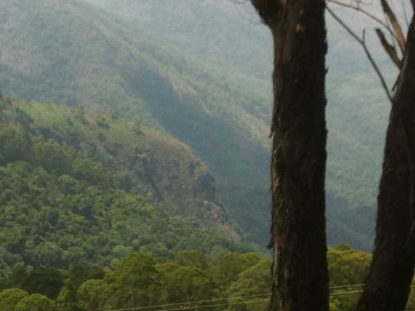 सड़क मार्ग द्वारा,