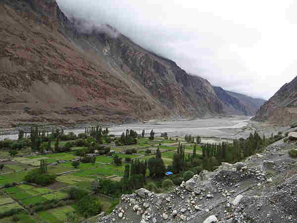 तुर्टुक