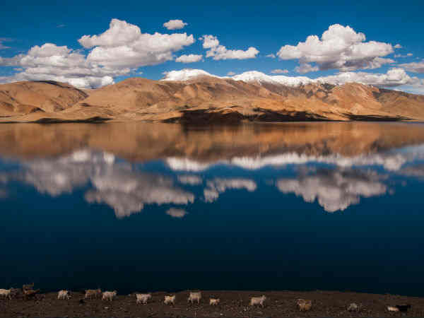 त्सो-मोरीरी