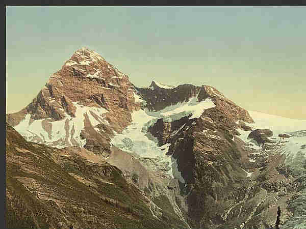 अबोट माउंट