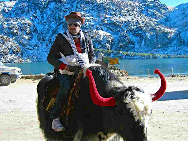याक सवारी