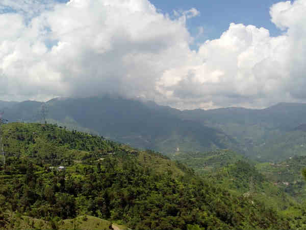 क्या खाएं