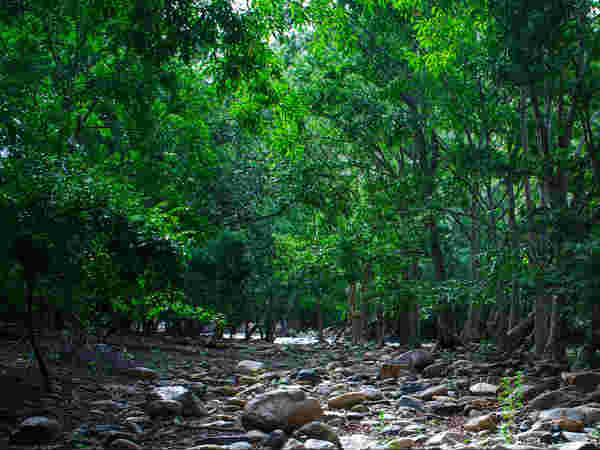 मट्टम,तमिलनाडु