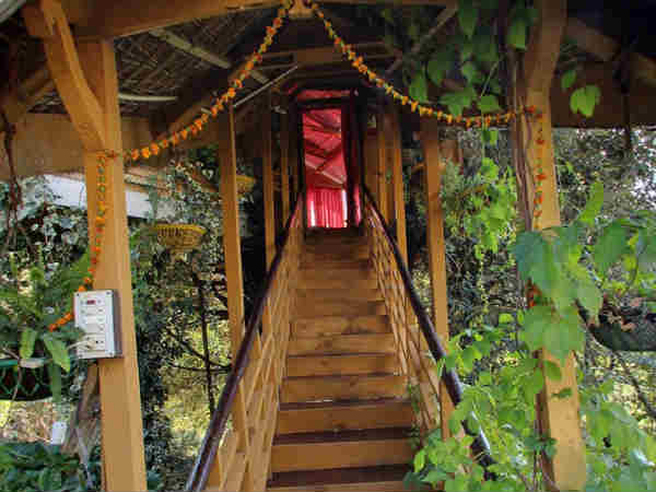 'ट्री-हाउस कॉटेज', मनाली