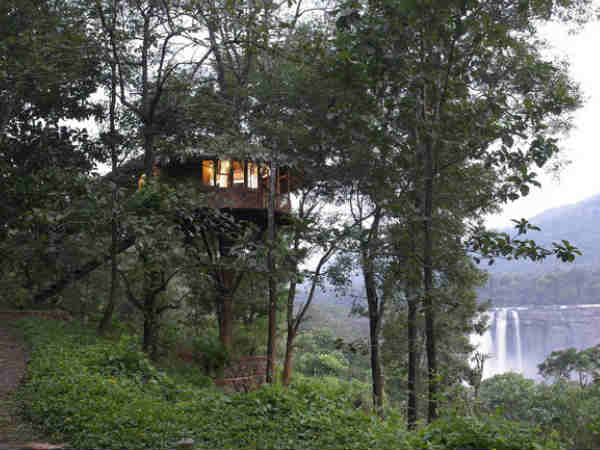 रेन फारेस्ट रिसोर्ट, केरल