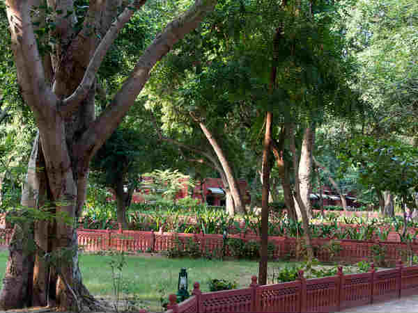 गजनेर अभयारण्य ,बीकानेर