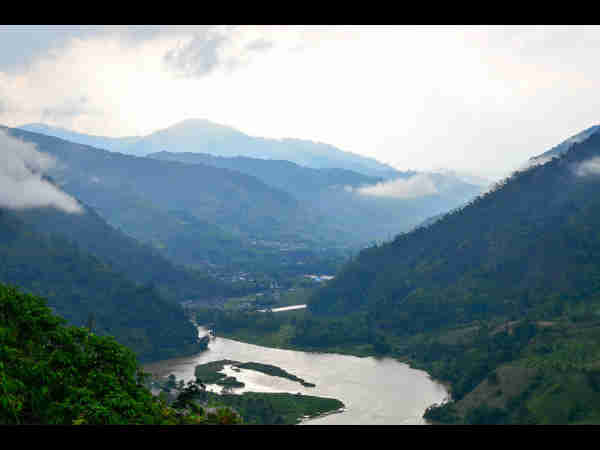 तारीन मछली फार्म