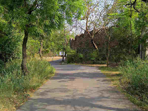 40 रुपये में सुकून के कुछ पल