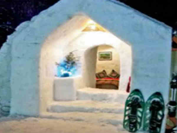 igloo-hotel-manali igloo-hotel-manali