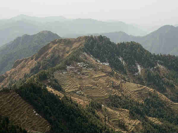 धनौल्टी
