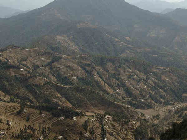 धनौल्टी