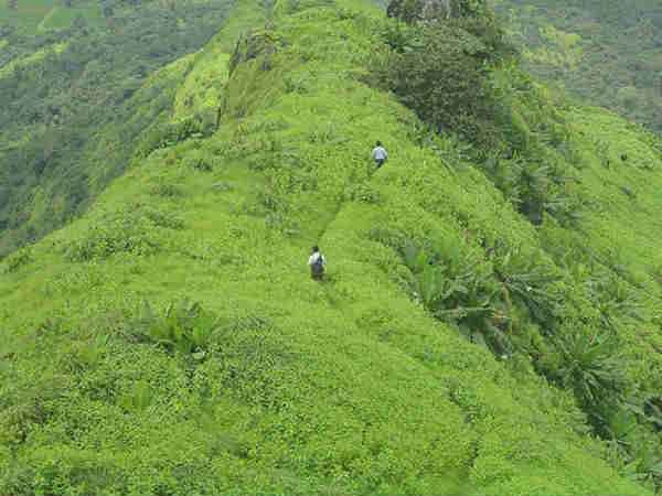 कामशेत