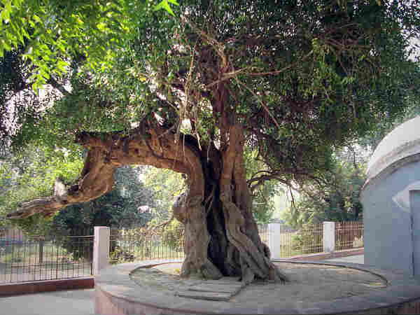 कैसे जायें