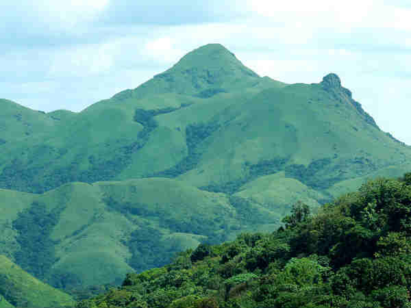 जेनुकल गुड्डा