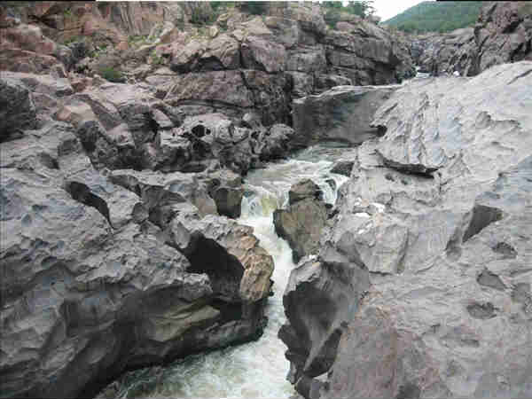 टिप्स-