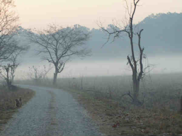 जिम कॉर्बेट नेशनल पार्क