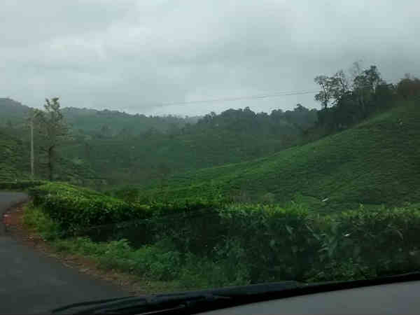 वायनाड