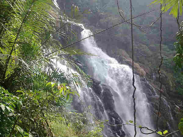 मीनमुट्टी फॉल्स