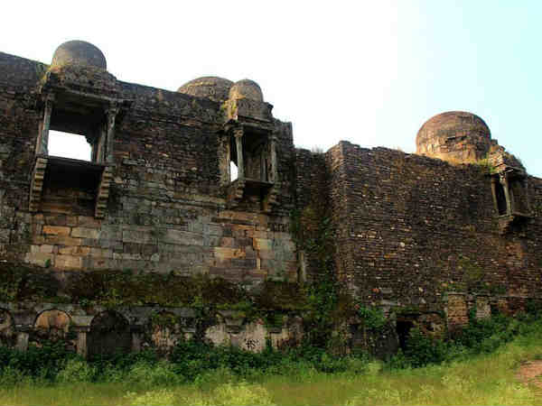 रायसेन