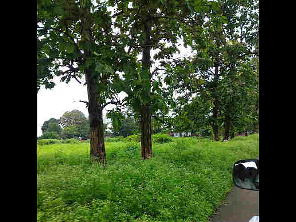 पन्ना