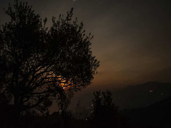 बिनसर