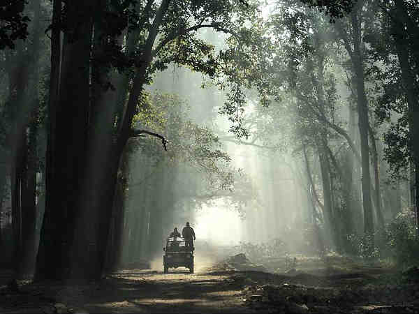 जिम कॉर्बेट नेशनल पार्क