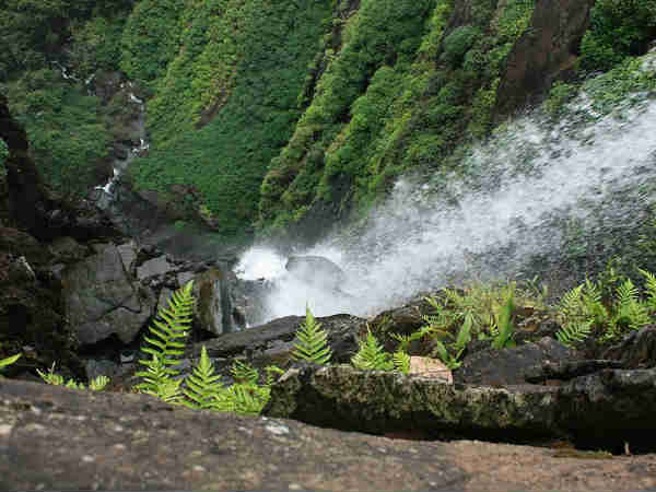 कैसे पहुंचे