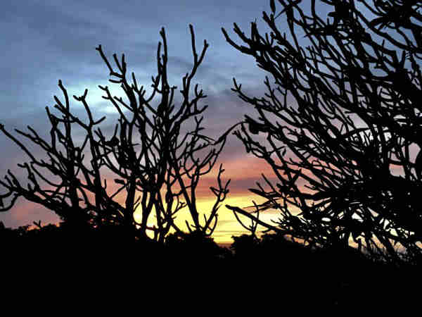 अवलाबेत्ता पहाड़ी