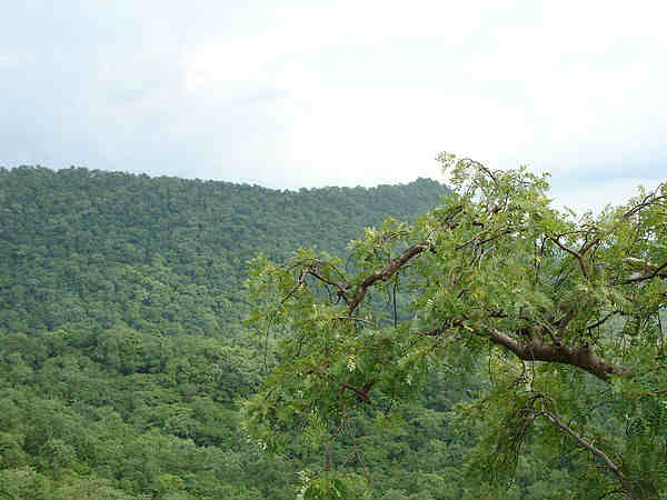 कवर्धा