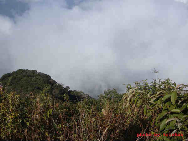 हाफलांग