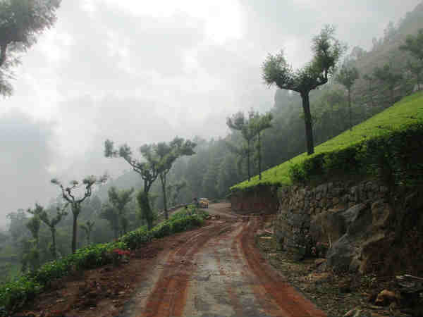 मट्टम
