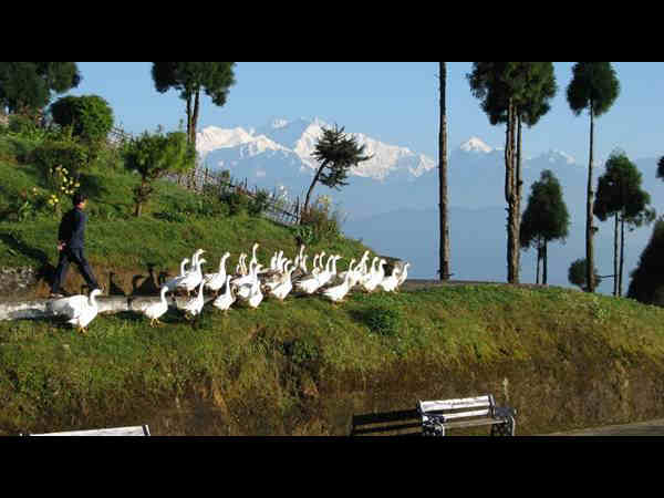 लेपचाजगत