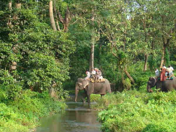 गोरुमारा