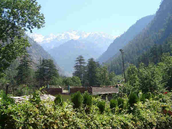 Malana Malana