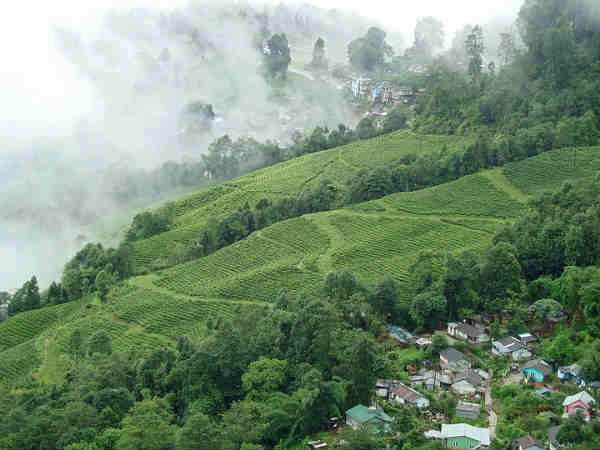 दार्जलिंग