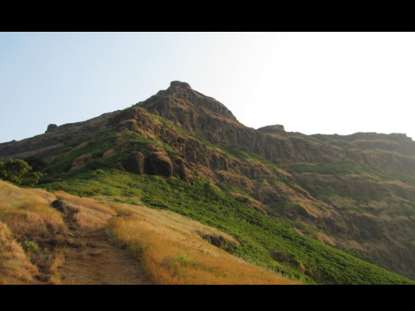 तोरणा ट्रेक
