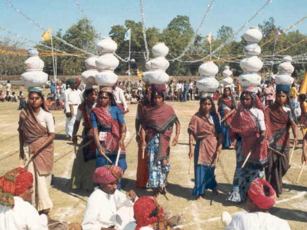बेणेश्वर धाम मेला