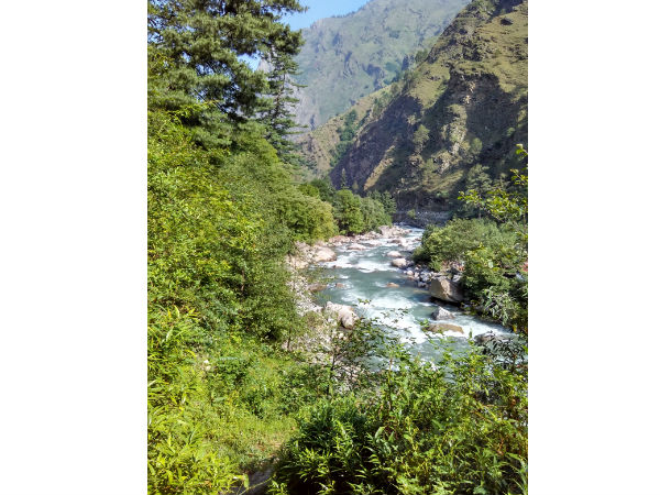 गुशियानी