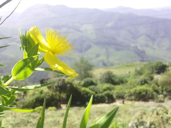 राजमाला