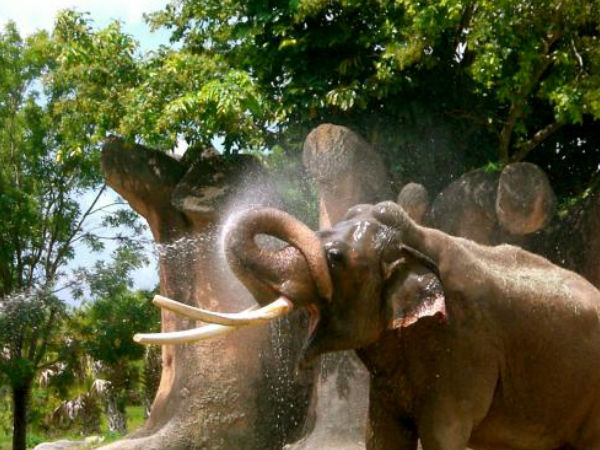 चंद्र प्रभा वन्यजीव अभयारण्य