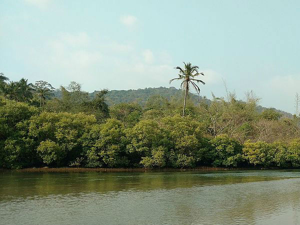 दक्षिणी और उत्तरी गोवा