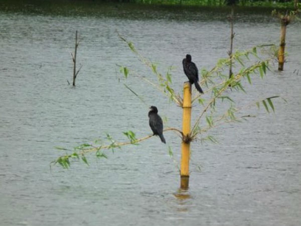 वेम्बनाड झील