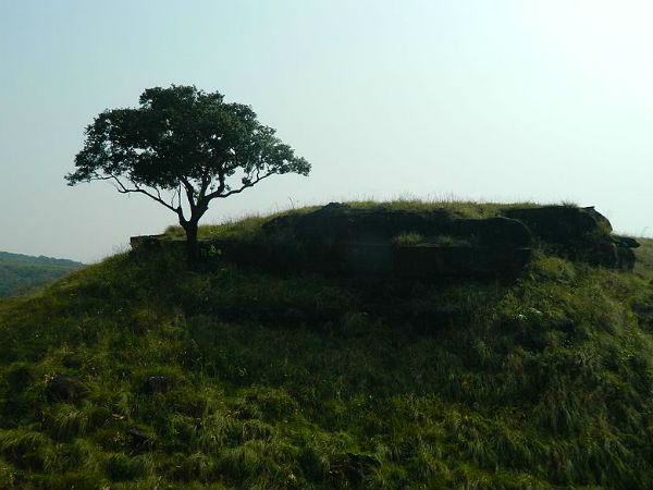 बालपकारम वन, मेघालय