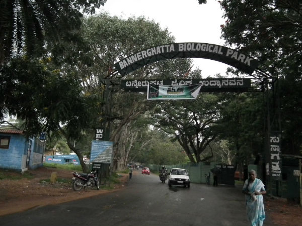 Bannerghatta National Park Bannerghatta National Park