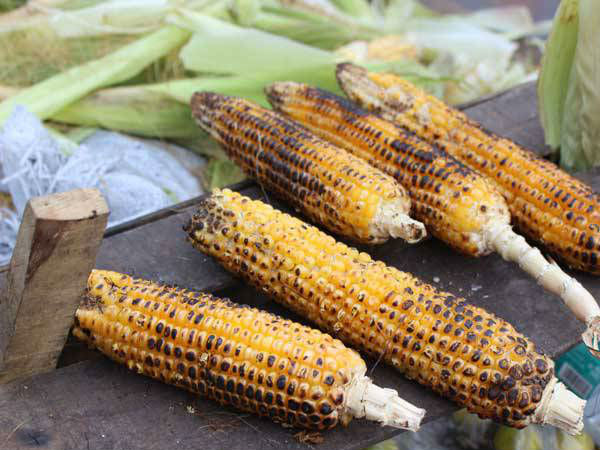 गर्मा गर्म भुट्टा और चाय