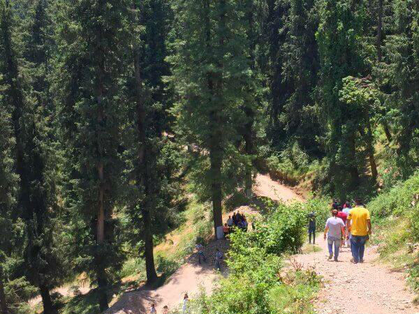 ट्रैकिंग